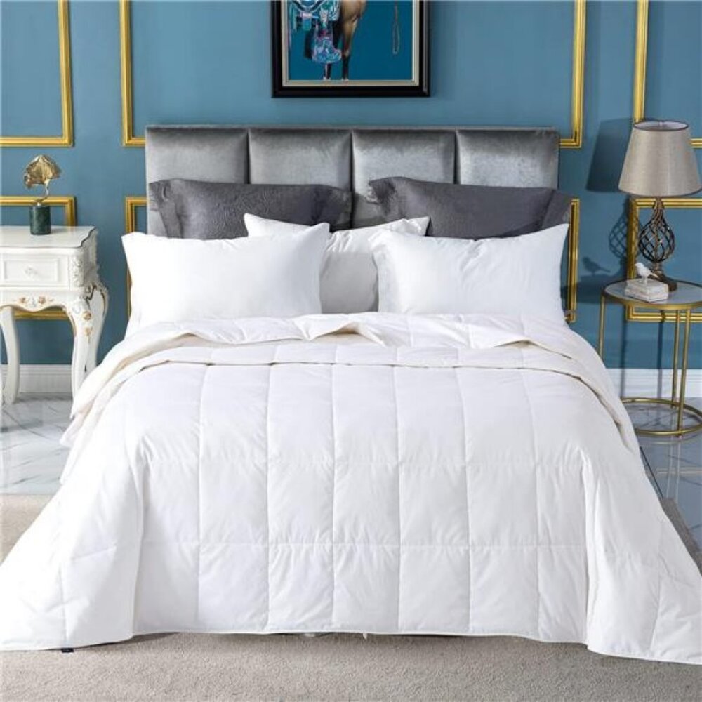 Summer Down ComforterBlanket Queen Size, Extra Lightweight Duvet Insert